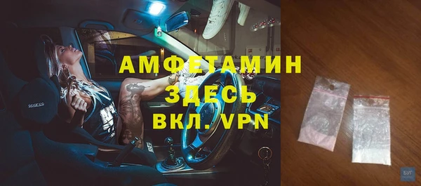 индика Вязники