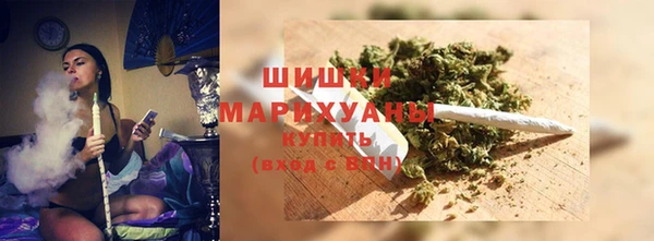 индика Вязники