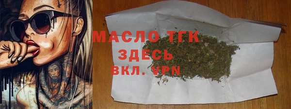 индика Вязники