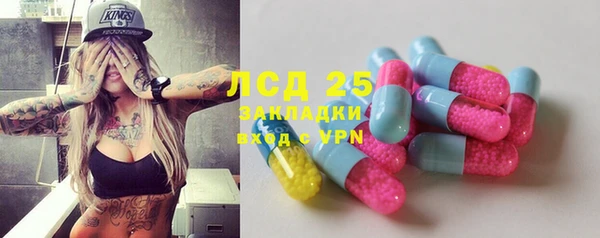 индика Вязники