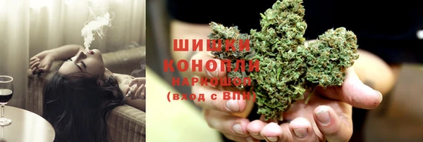индика Вязники