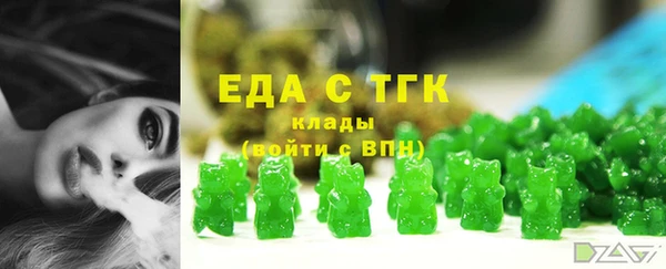индика Вязники