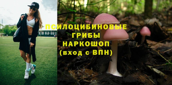гидра Сафоново