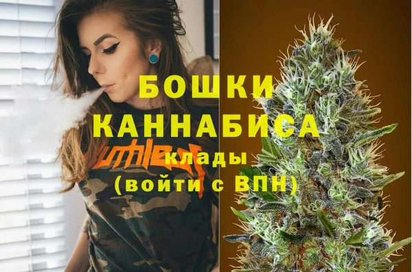 индика Вязники