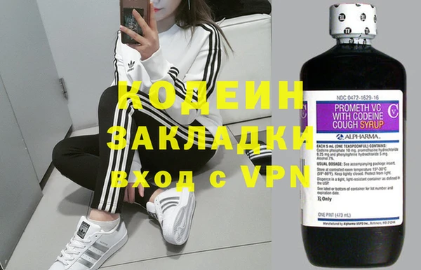 индика Вязники