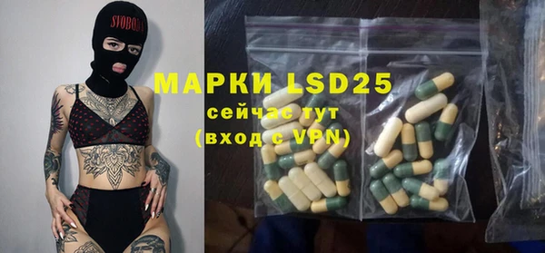 индика Волосово